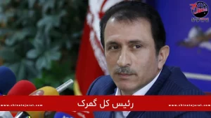 رئیس کل گمرک ایران اعلام کرد: ۴ دلیل تاخیر در ترخیص در کالا